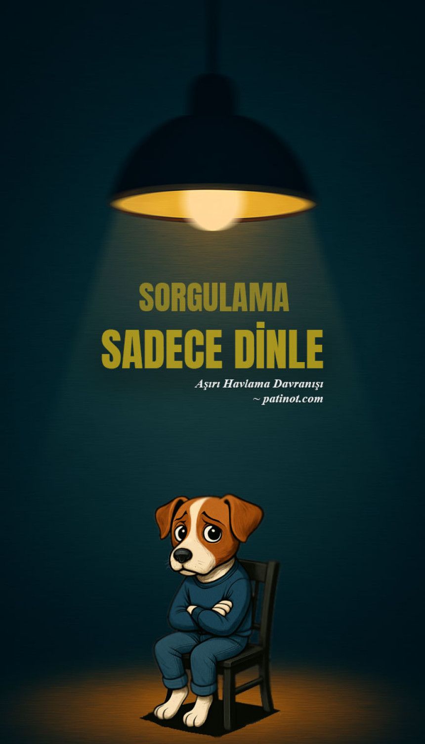 Belki de yeterince dinlemiyorsundur... — özgün kapak