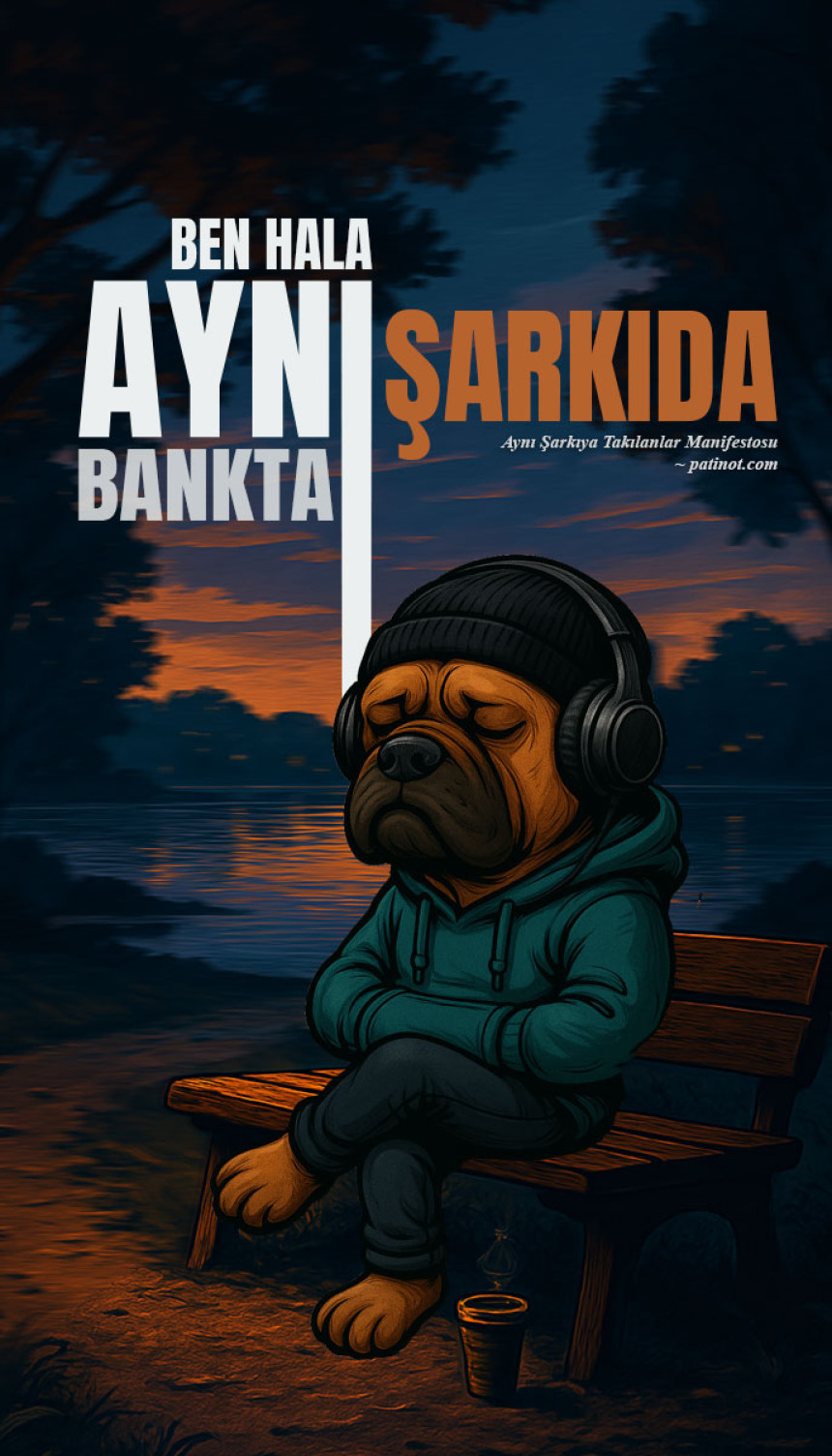 Aynı şarkıya takılanlar manifestosu... — özgün kapak